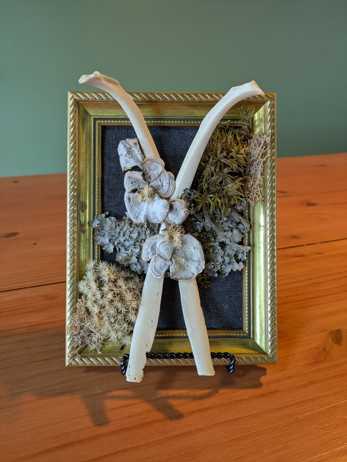 Wooden framed artwork with foraged West Virginia mushrooms, moss and two deer rib bones by Jaimee Crash Art