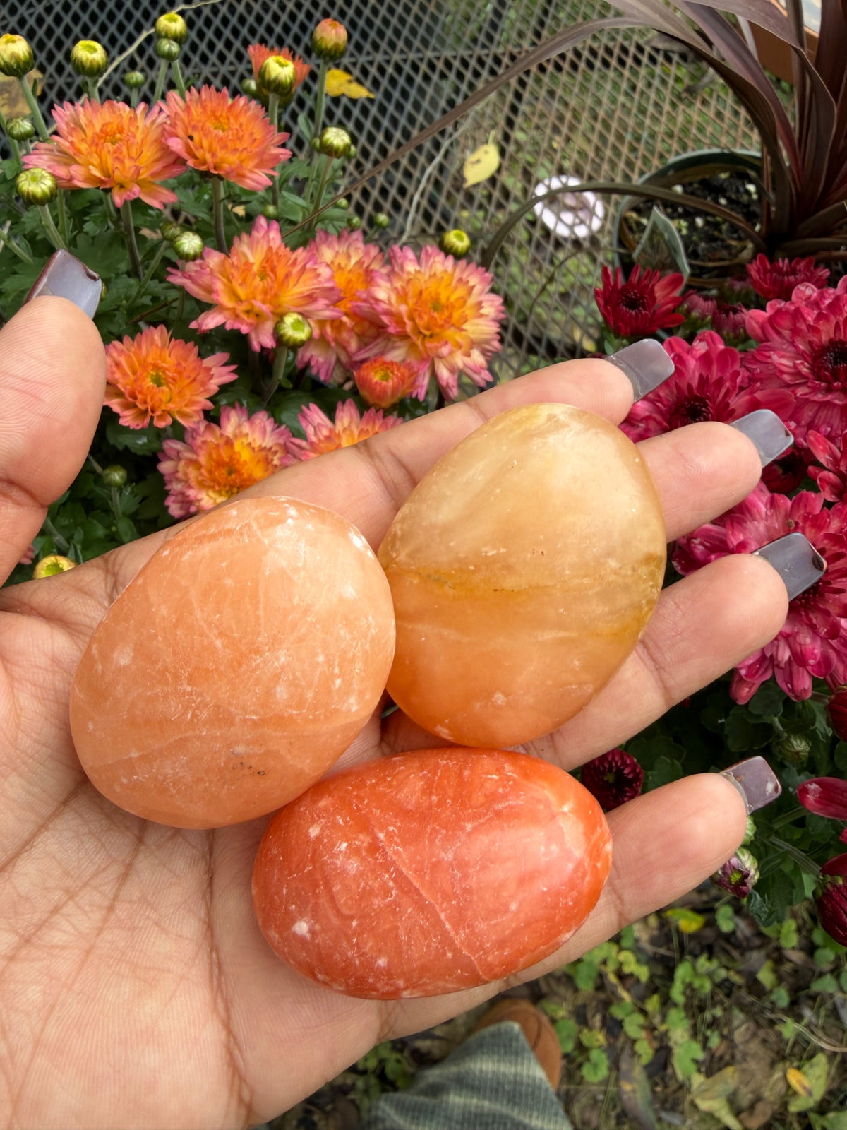 Polished orange calcite palm stone from Madagascar in a rich solid orange, sold individually by Holistic Unicorn