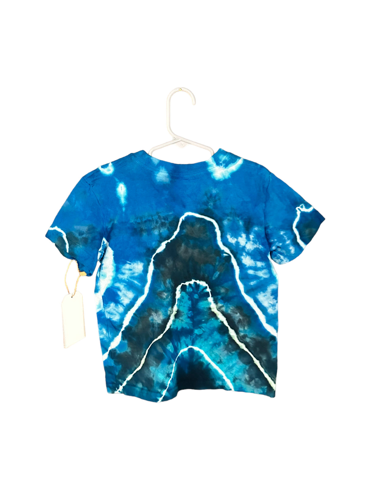 True Blue Heart Toddler Tee (5T, One of One)