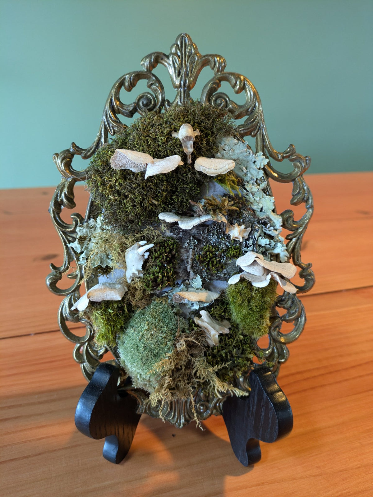 Antique brass frame holding foraged mushrooms, moss and mink vertebrae with jaw bone by Jaimee Crash Art