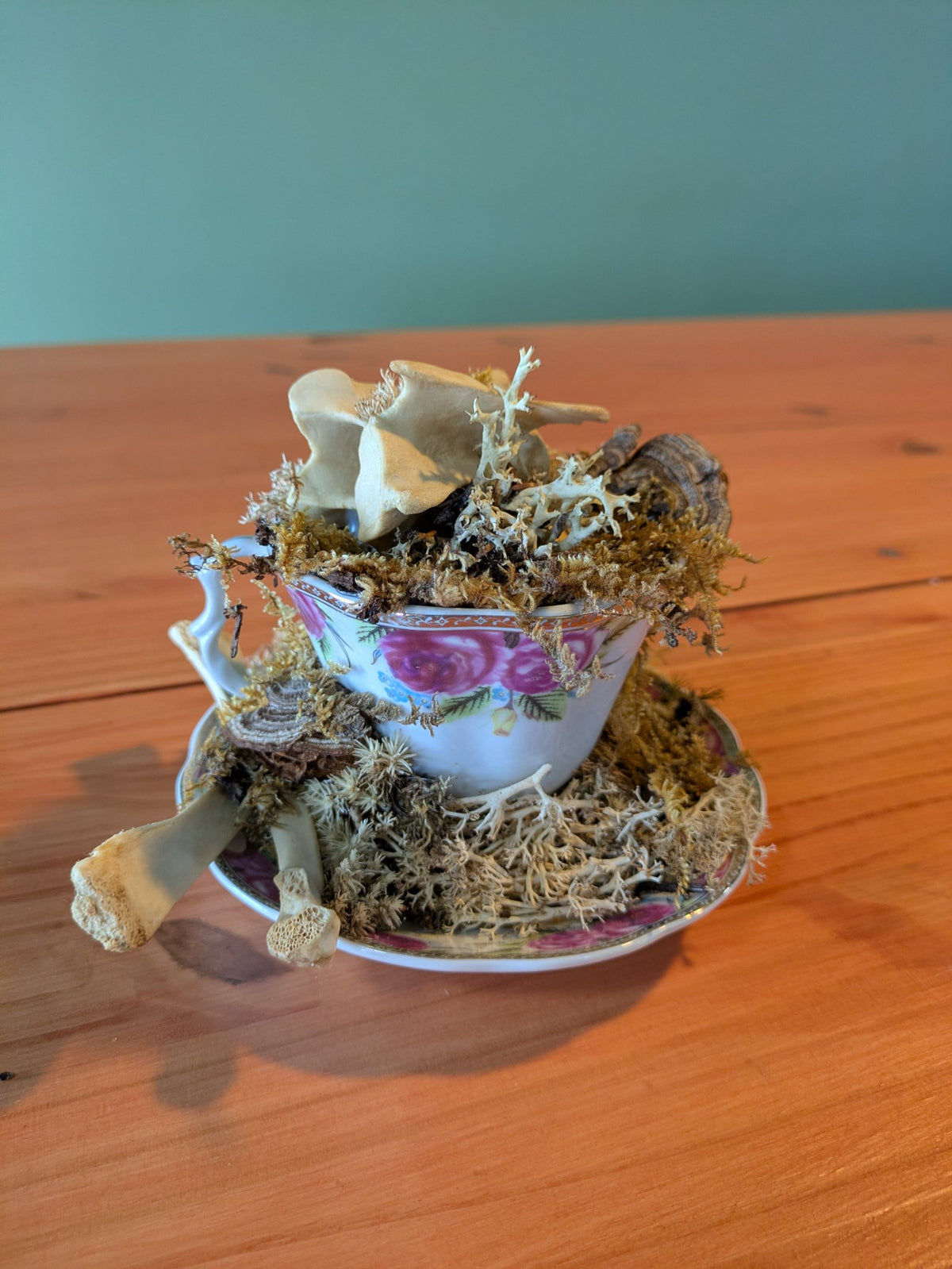 Thrifted porcelain teacup filled with foraged mushrooms, moss and deer bones by Jaimee Crash Art