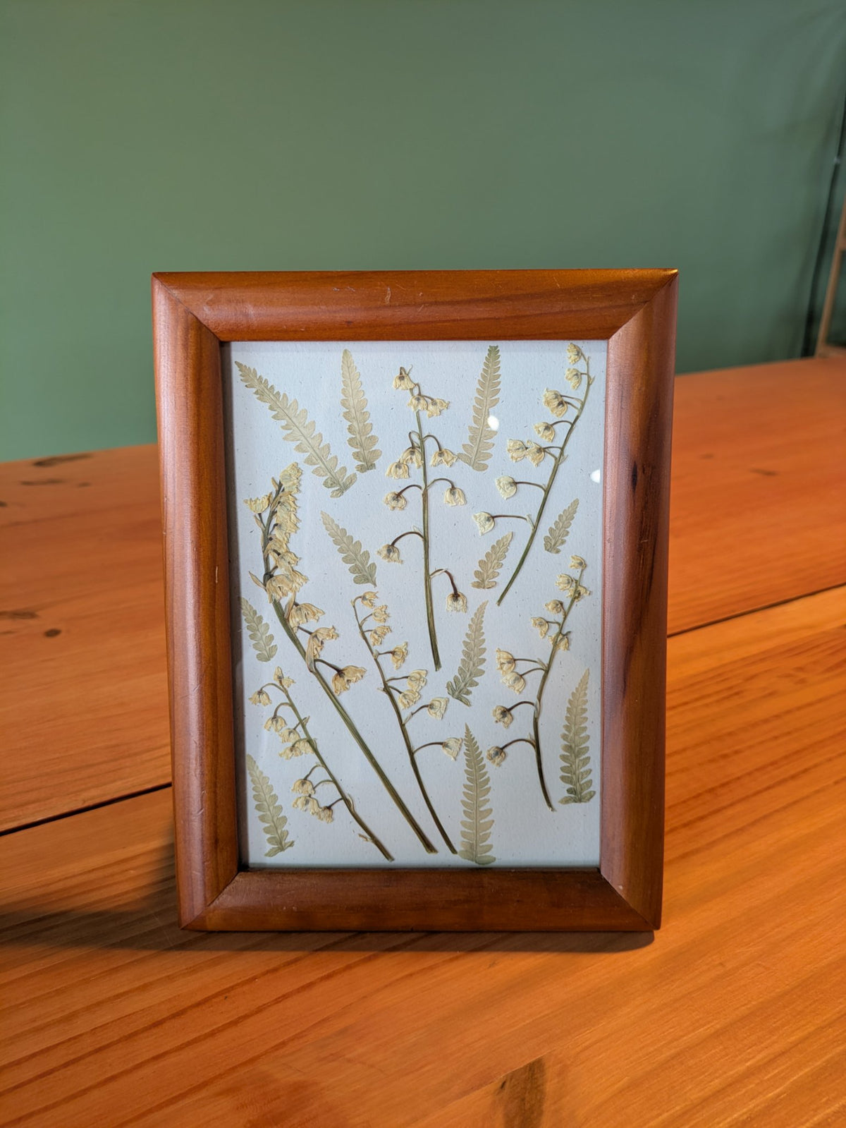 Eight by six inch thrifted wooden frame displaying pressed flowers grown by Jaimee Crash Art