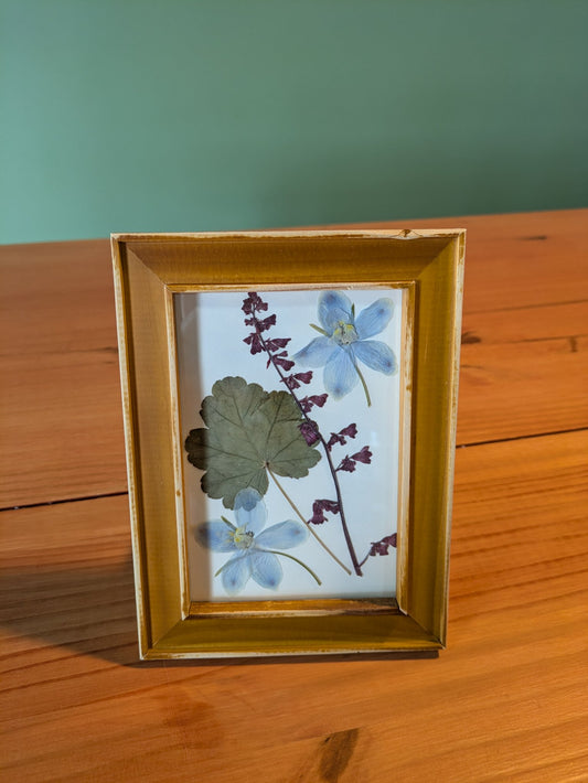 Pressed garden flowers mounted in a thrifted 7.5 by 5.5 inch wooden frame by Jaimee Crash Art