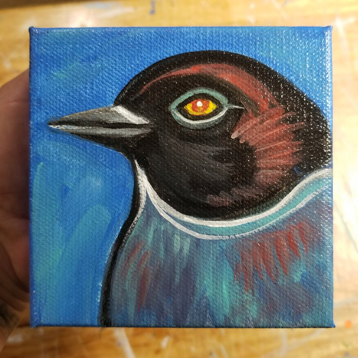 Original painting of a black headed blue bird on a four inch square canvas by Michele The Painter
