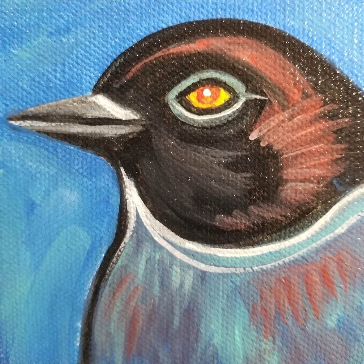 Final view of the black headed blue bird canvas painting by Michele The Painter