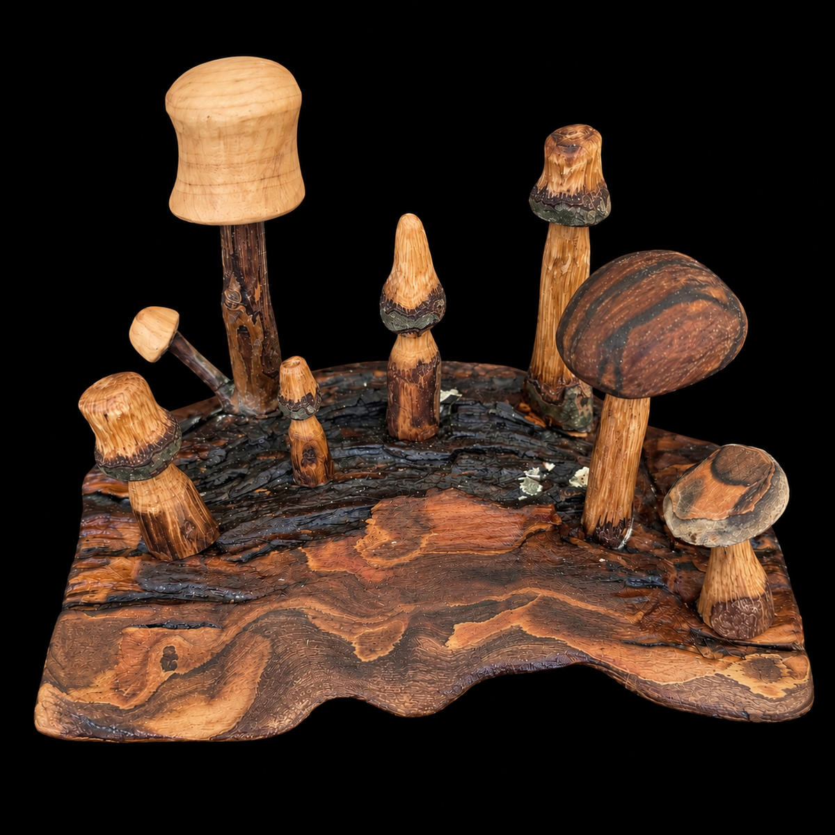 Second view of the mini mushroom cluster on bark from Sawdust Heaven