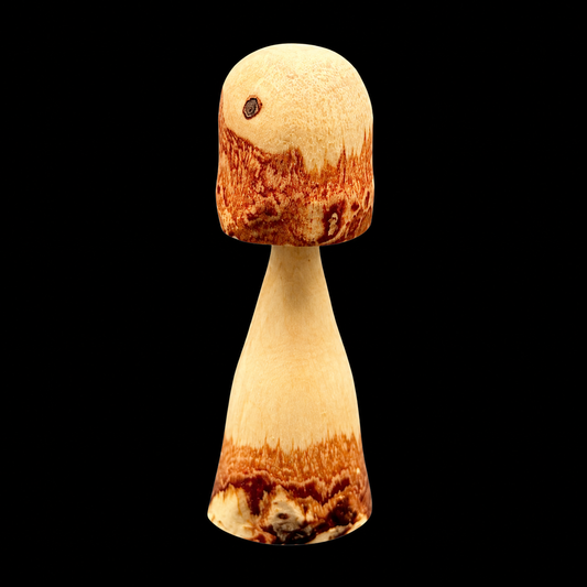 Small holly wood mushroom with a creamy body, bark accents and a knot on the cap, by Tina