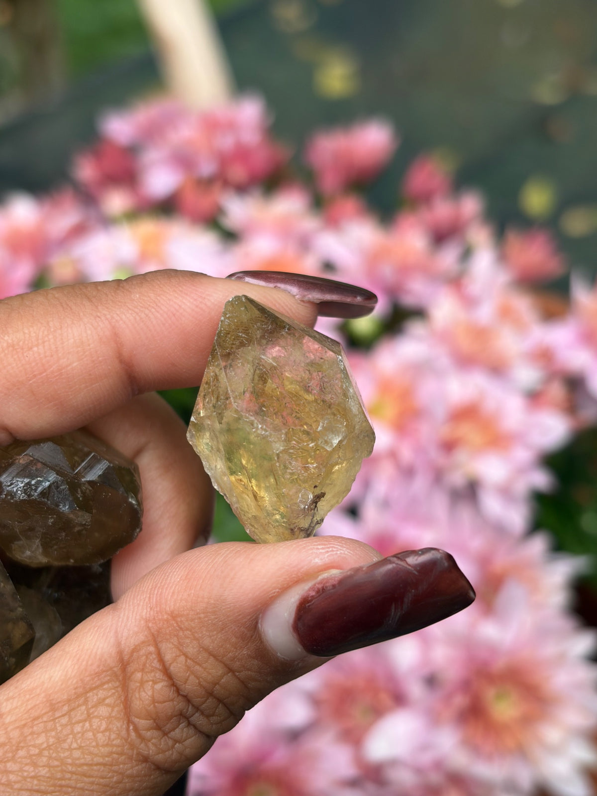 Second view of the mini kundalini citrine points offered by Holistic Unicorn
