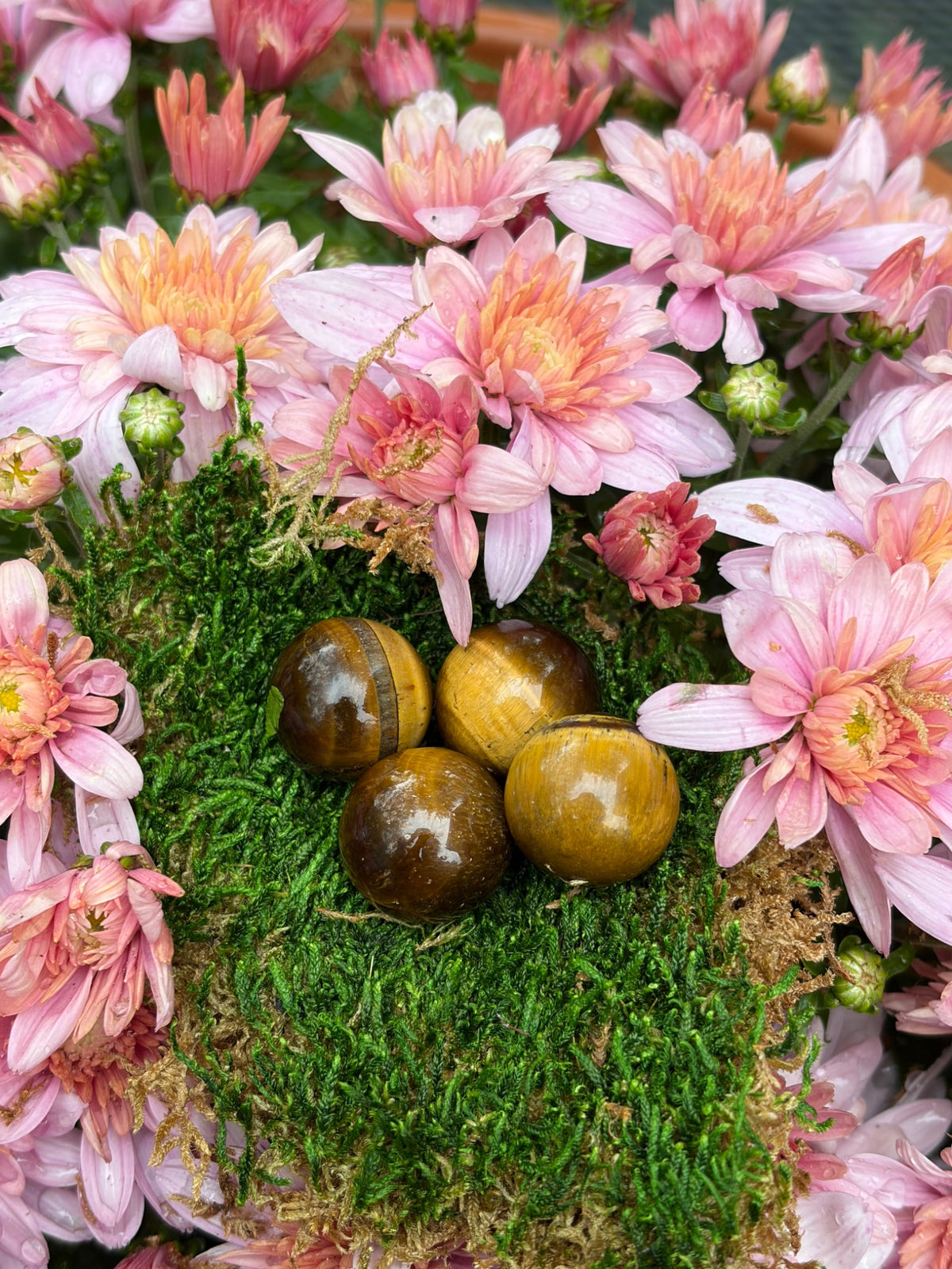 Second view of the mini tiger's eye spheres showing their warm golden brown sheen