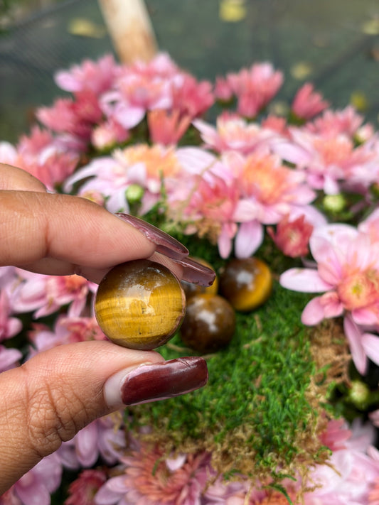 Mini polished tiger's eye sphere with golden brown chatoyant banding from South Africa, by Holistic Unicorn