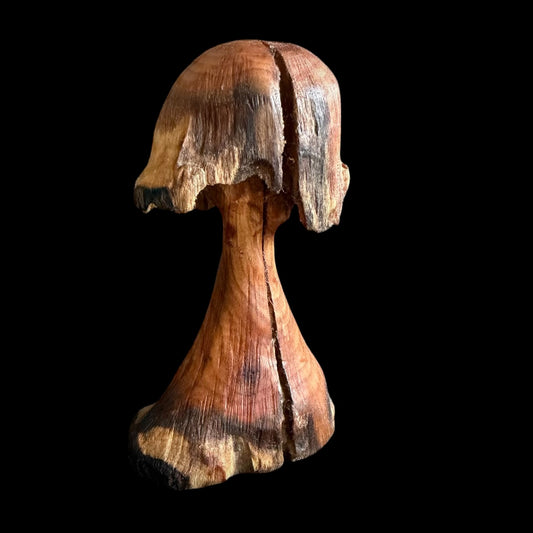 Four inch applewood mushroom called Grumpy, hand carved by Tina of Sawdust Heaven