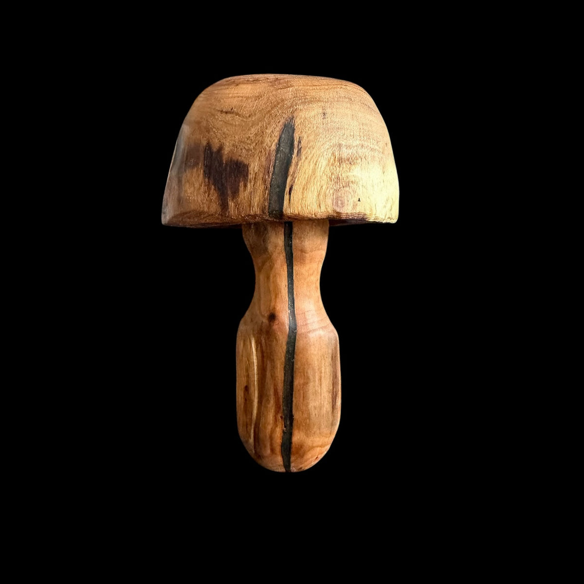 Second view of the birch mushroom showing the resin stabilizing its natural crack