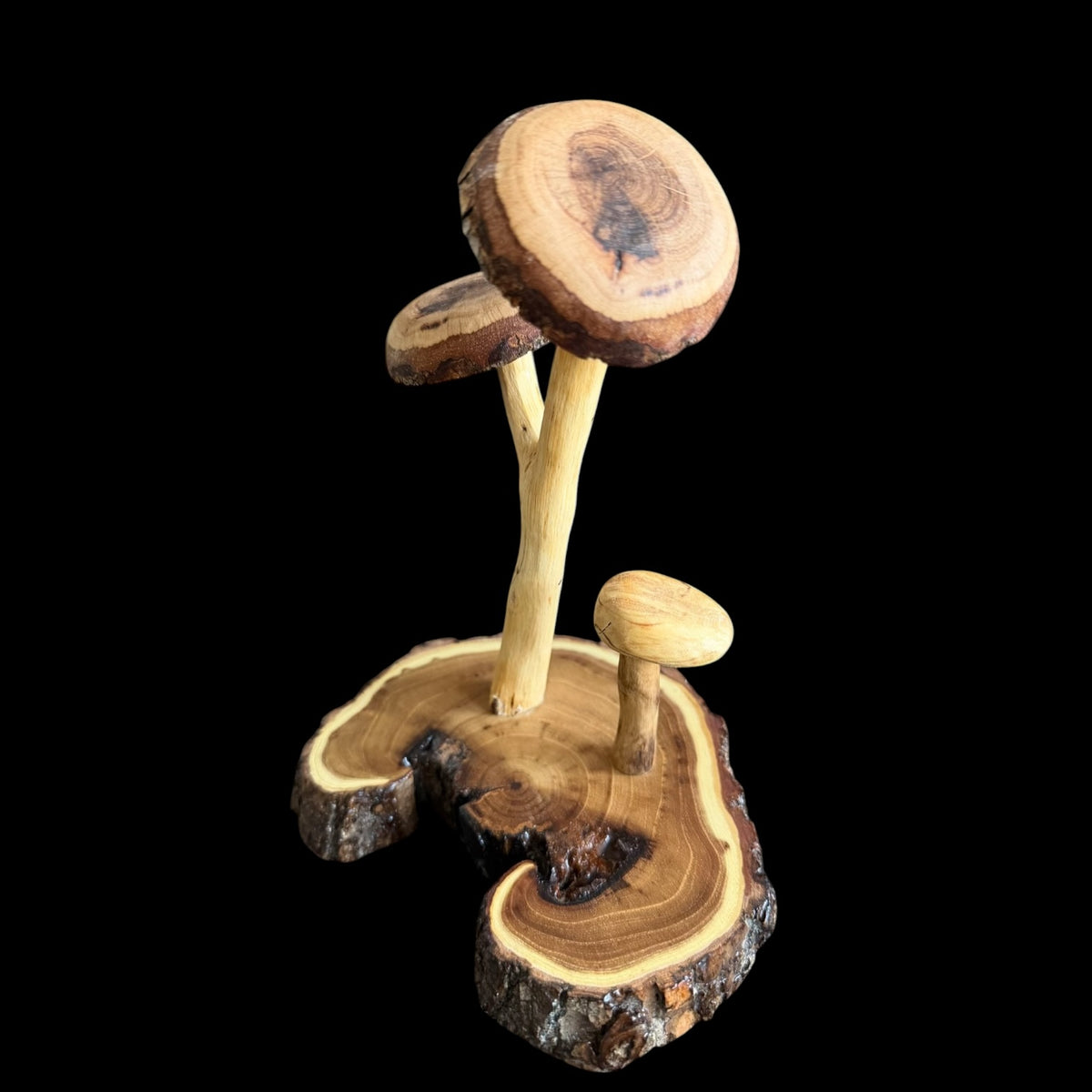Whimsical triple mushroom carving mounted on a locust wood base by Sawdust Heaven