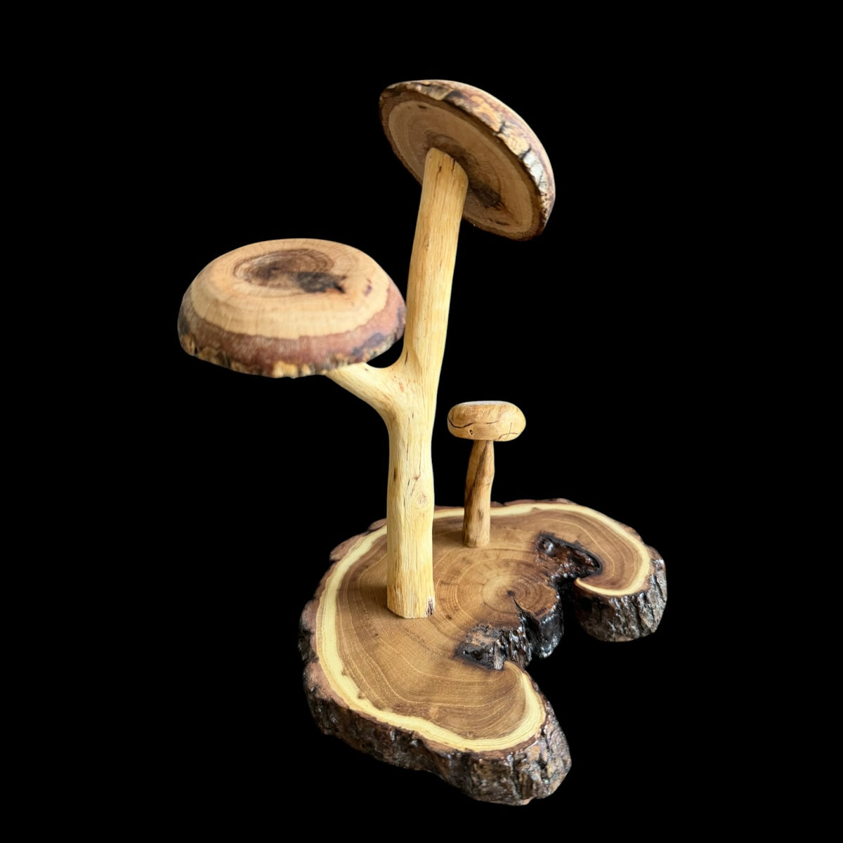 Second view of the three carved mushrooms on their locust base
