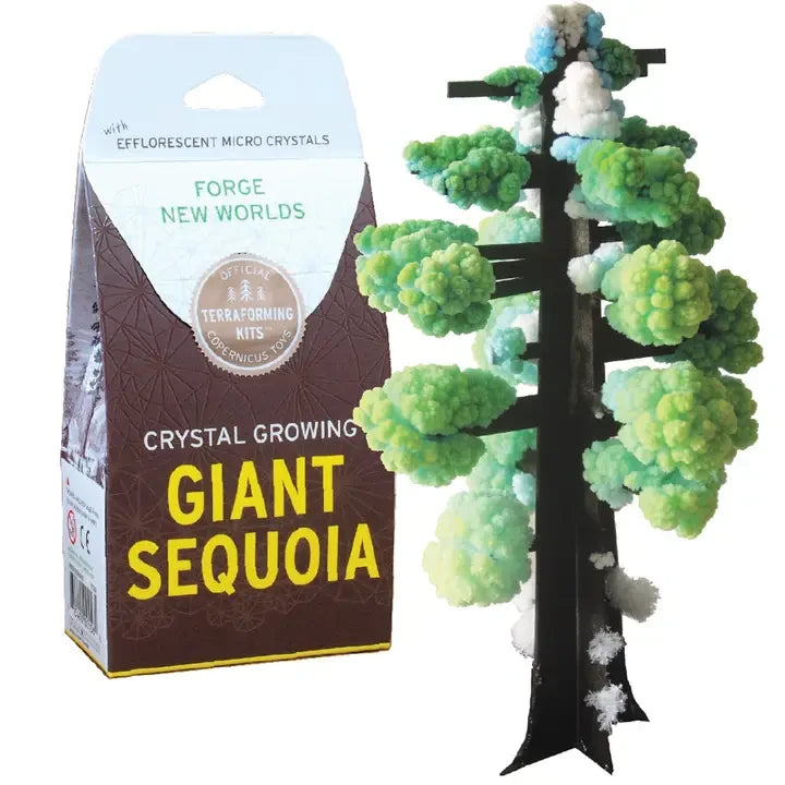 Crystal Grow Kit