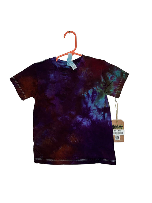 Midnight Plum Toddler Tee (3T, One of One)