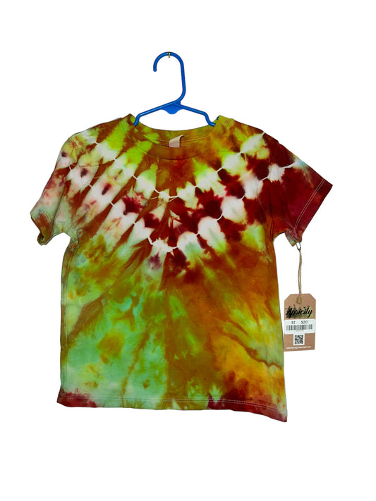 Autumn Starburst Toddler Tee (5T, One of One)